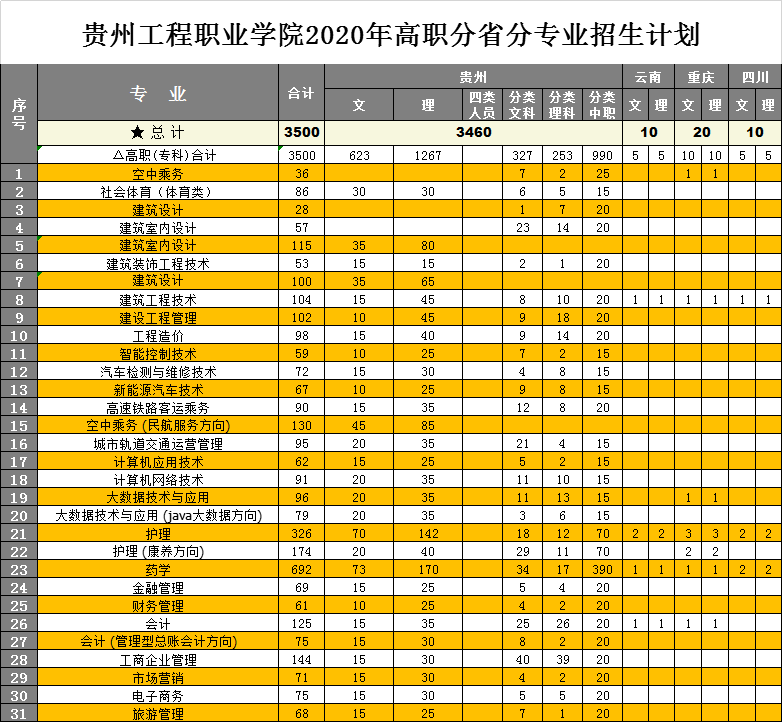 华体会官网华体会官网首页2020年高职分省分专业招生计划(图1)