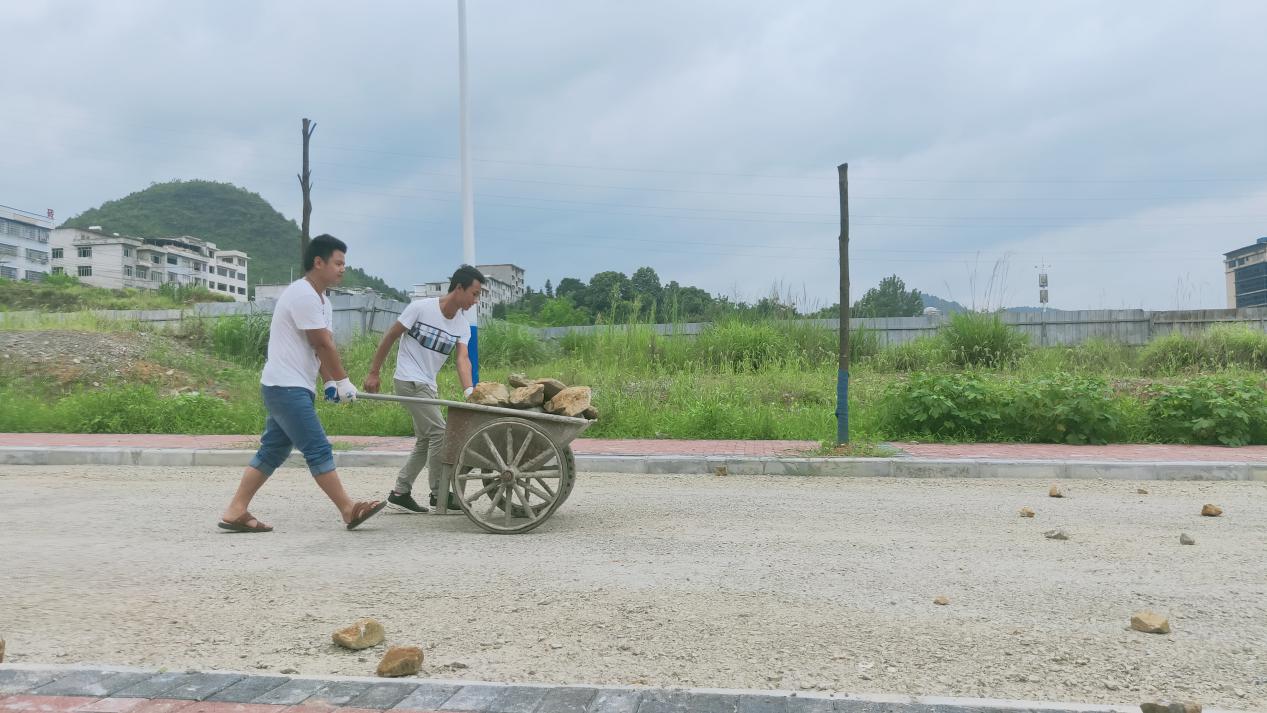 建筑工程学院毕业班学生为学校作贡献(图4)